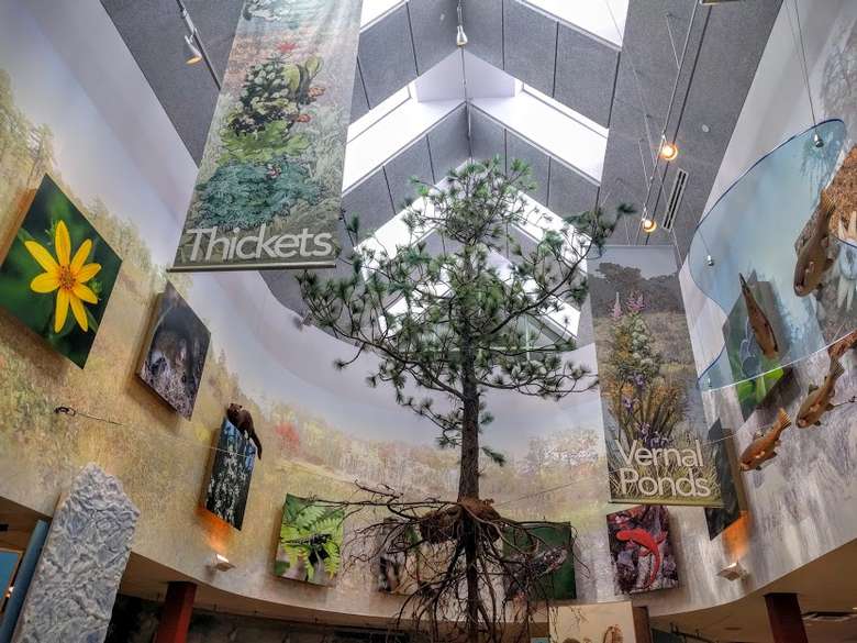 paintings and banners hanging from the ceiling of a museum
