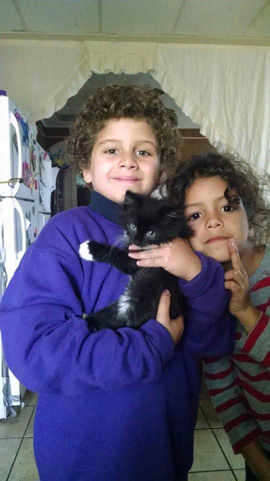 two kids with a kitten