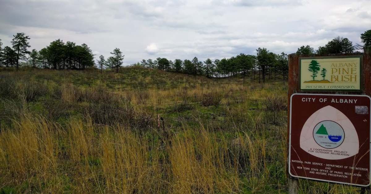 pine bush field and sign